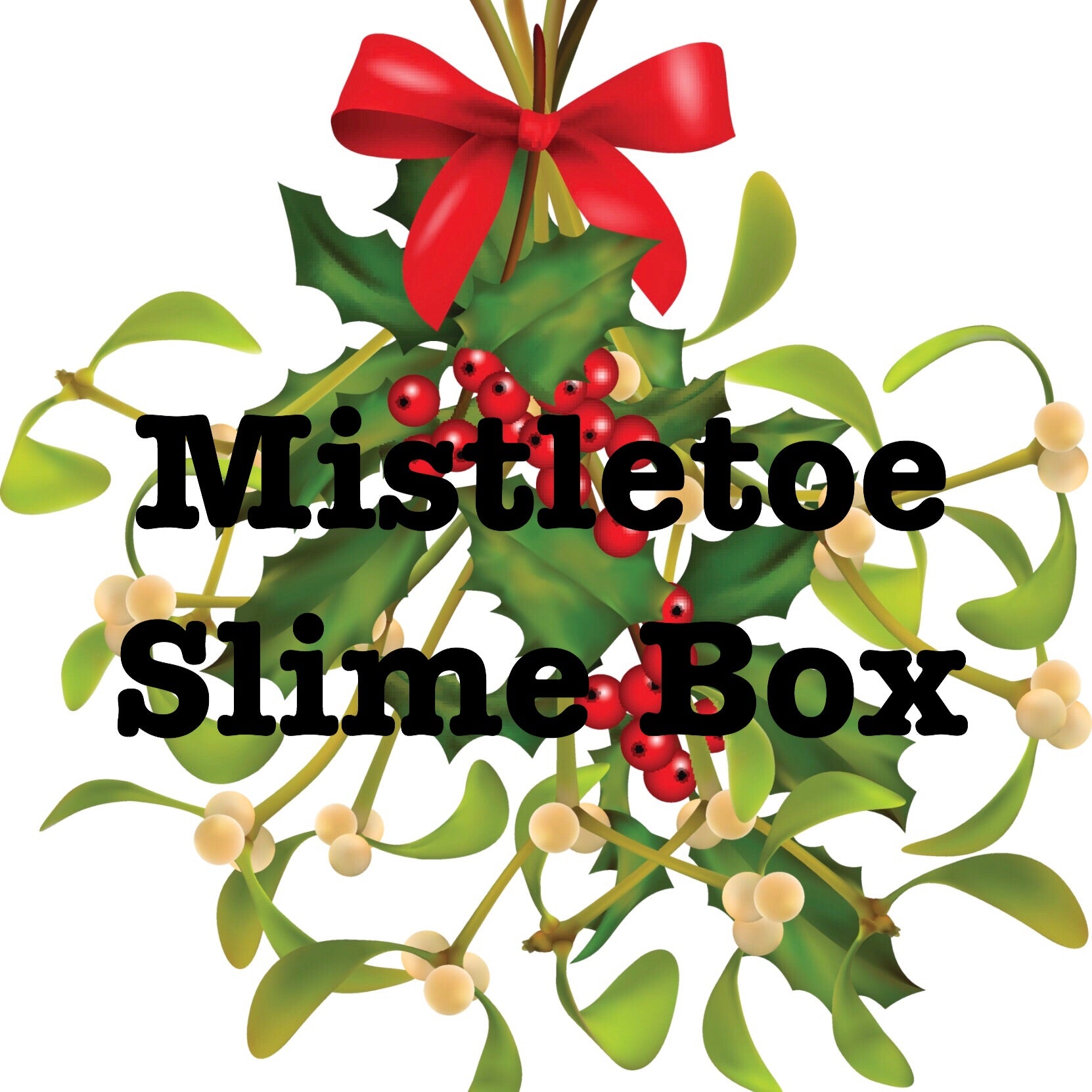Mistletoe Slime Box